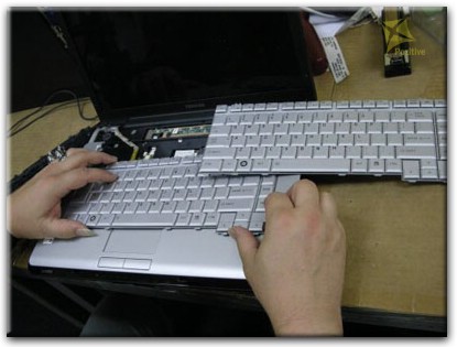 Ремонт клавиатуры на ноутбуке Toshiba в Сургуте